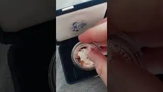 #fyp #labubu #coin #silver #usa #america #american #viralshort #viralvideo #viralshorts #minecraft