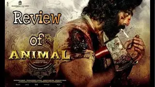 Animal | Review | Story | Move With Me
