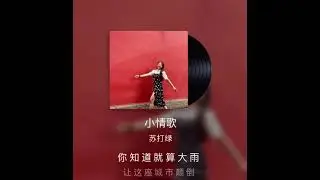 [COVER] Bo Archie - 小情歌 Little Love Song