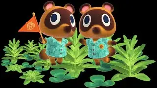 Livestream AC Happy Home Give Away