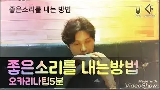 오카리나팁5분(11)좋은소리내는방법ㅡ하지훈(ocarlna 강의)
