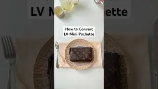 How I Convert the LV Mini Pochette + What Fits