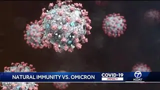 Natural Immunity: How your body fights against COVID-19
