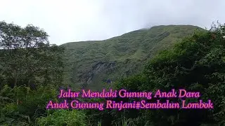 Enjoy..Naik Gunung Anak Dara1923 MDPL, Anak Gunung Rinjani Lombok NTB