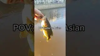 Grandma be fuming #fishing #bassfishing #fish #fishingvideo #canada #canal #asian #canada