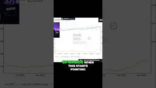 The Secret Strategy of Long-Term Holders Revealed
