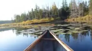 Outdoor Wilderness Survival Course: 8-Day and Weekend Canoe Immersions