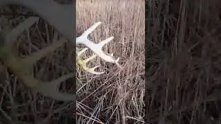 #deerhunting #hike #hiking #hikingadventures #hunting #shedhunting #shedseason #adventure #deer
