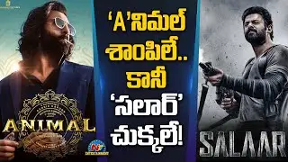 Ranbir Kapoor's Animal Movie Collections Updates | Rashmika Mandanna, Sandeep Vanga || @NTVENT