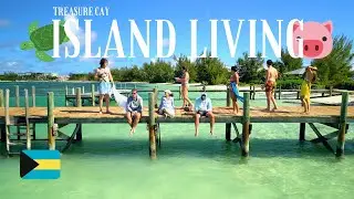 Swimming With Turtles and Pigs in The Abacos | GREEN TURTLE CAY