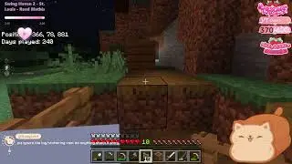Day 8 minecraft smp, we just chillin