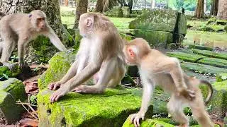 Hahaha, The adorable baby very want to play, but mother doesn't allow