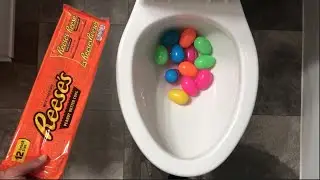 Will it Flush? - Rainbow Surprise Eggs and Reese's