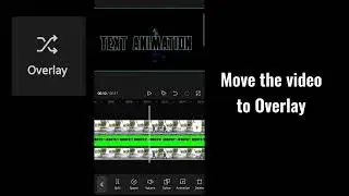 How to create text reveal effects on Capcut  Capcut  text animation