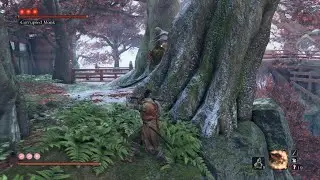 Sekiro: Shadows Die Twice True Guardian Monk Boss