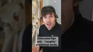 Dislocated Hips and &ldquo;Naughty&rdquo; Anatomical Words | #shorts