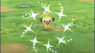 Pokemon Go Grookey community day continues downtown