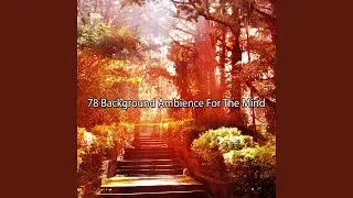Enlighten The Troubled Spirit