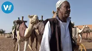 Ein letztes Mal auf dem 