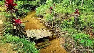 Potret kehidupan masyarakat Dayak Ngaju di Kapuas Hulu Sungai Kapuas