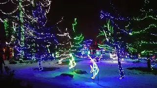 Calgary Zoo Lights / Happy holidays everyone!