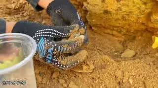 I meet more gemstones N Gold discovered find most expensive pearls and Gold in Fosile