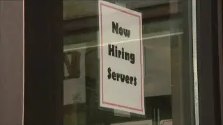 Small Business Optimism Hits Summer Highs: What It Means for Economy