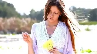Alfred Meco  -  Hapi  petalet   (Official Audio & Video PRO MUSIC ALBANIA )