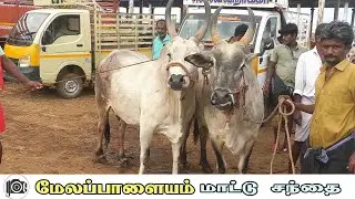 Melapalayam mattu santhai | மேலப்பாளையம் மாட்டு சந்தை