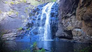 Great Otway National Park - Skenes Creek Trip