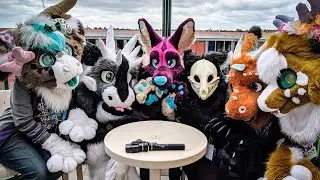 Interviewing Young Furs! - Feat Pepi, Zero, Star and Pluto!