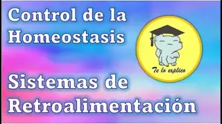 CONTROL DE LA HOMEOSTASIS - SISTEMAS DE RETROALIMENTACIÓN