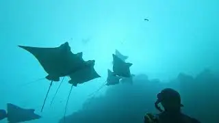 Ava'avaroa Passage Rarotonga - Ocean Protagonist