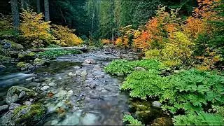 Sound Therapy Piano Music for Brain Reset