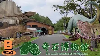 【古生物スポット】奇石博物館(The Kiseki Museum of World Stones)