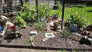 Doggy memorial garden