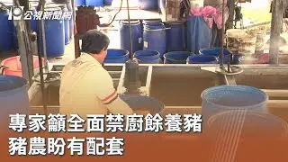 專家籲全面禁廚餘養豬 豬農盼有配套｜20251028 公視午間新聞