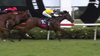 Gr.1 TAB Telegraph - First Five