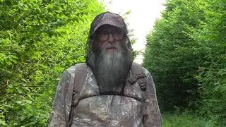 The Best Anti Bug Head Net