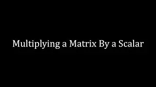 Multiplying a Matrix by a Scalar