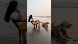 Pet Friendly South Goa Hotel #travel #travelwithdogs #petfriendly #southgoa #goa