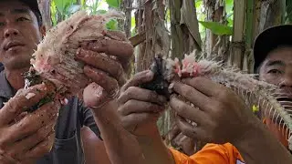 Cá Nướng Trui Tươi Sống Ăn Tại Vườn Chuối Ngọt Ngây | Hương Tràm U Minh