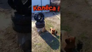 Колёса !