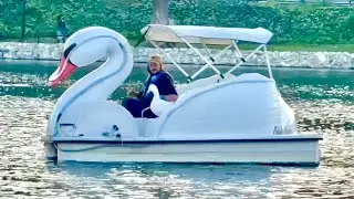 I took my duck to Swan Boats 🦢