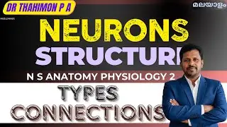 Neuron Structure Types of Neurons Neuronal Circuits Nervous system Anatomy Physiology Malayalam