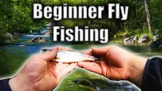 River Derwent Fly fishing (huge fish)