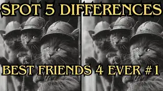 Spot five differences Best friends for ever Nr 1 #puzzles #logicriddles #logicpuzzles #mindsgame