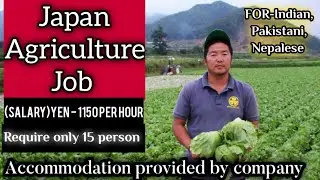 JAPAN JOB Agriculture general worker job,Good Salary with🎌🎌 Apartment by company #onjapan #2022