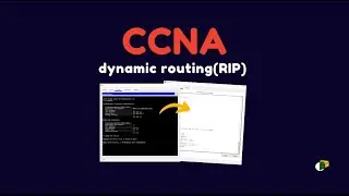 Free CCNA Course 2025-2026 Dynamic Routing RIP Explain