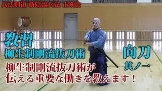 新陰流兵法　正剣会【教習 柳生制剛流抜刀術】「柳生制剛流抜刀術の極意をお伝えします」【向ノ刀】其ノ一　教習シリーズ第一弾！